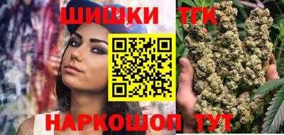 индика Заводоуковск